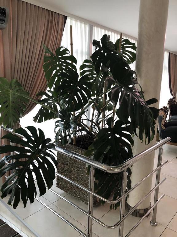 Hotel Перлина Saevka Dış mekan fotoğraf